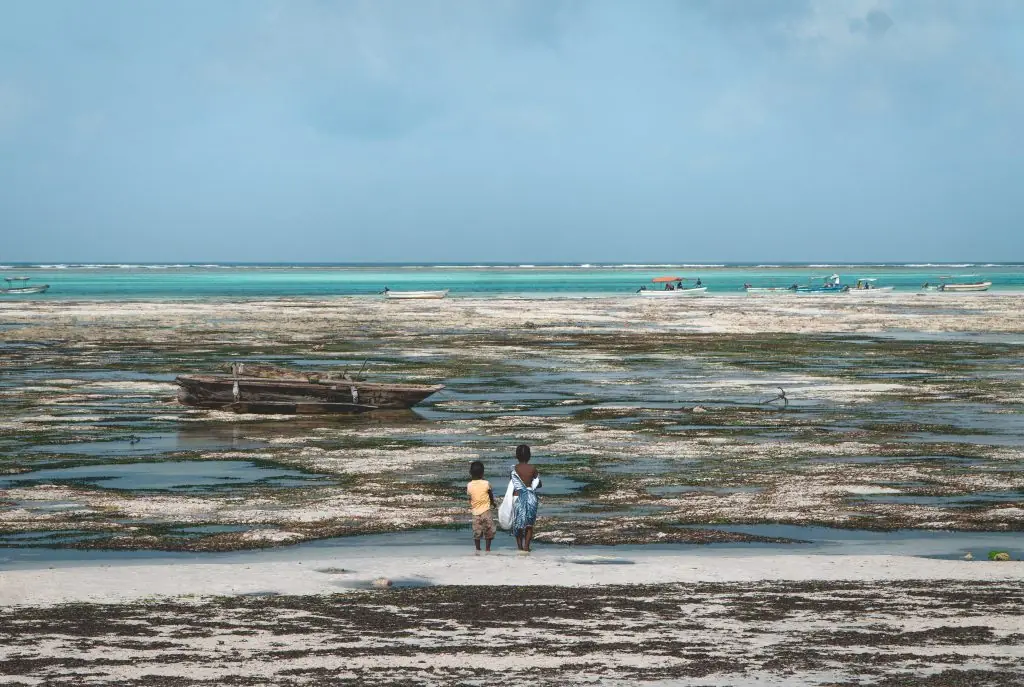 picture of beach on low tide in zanzibar